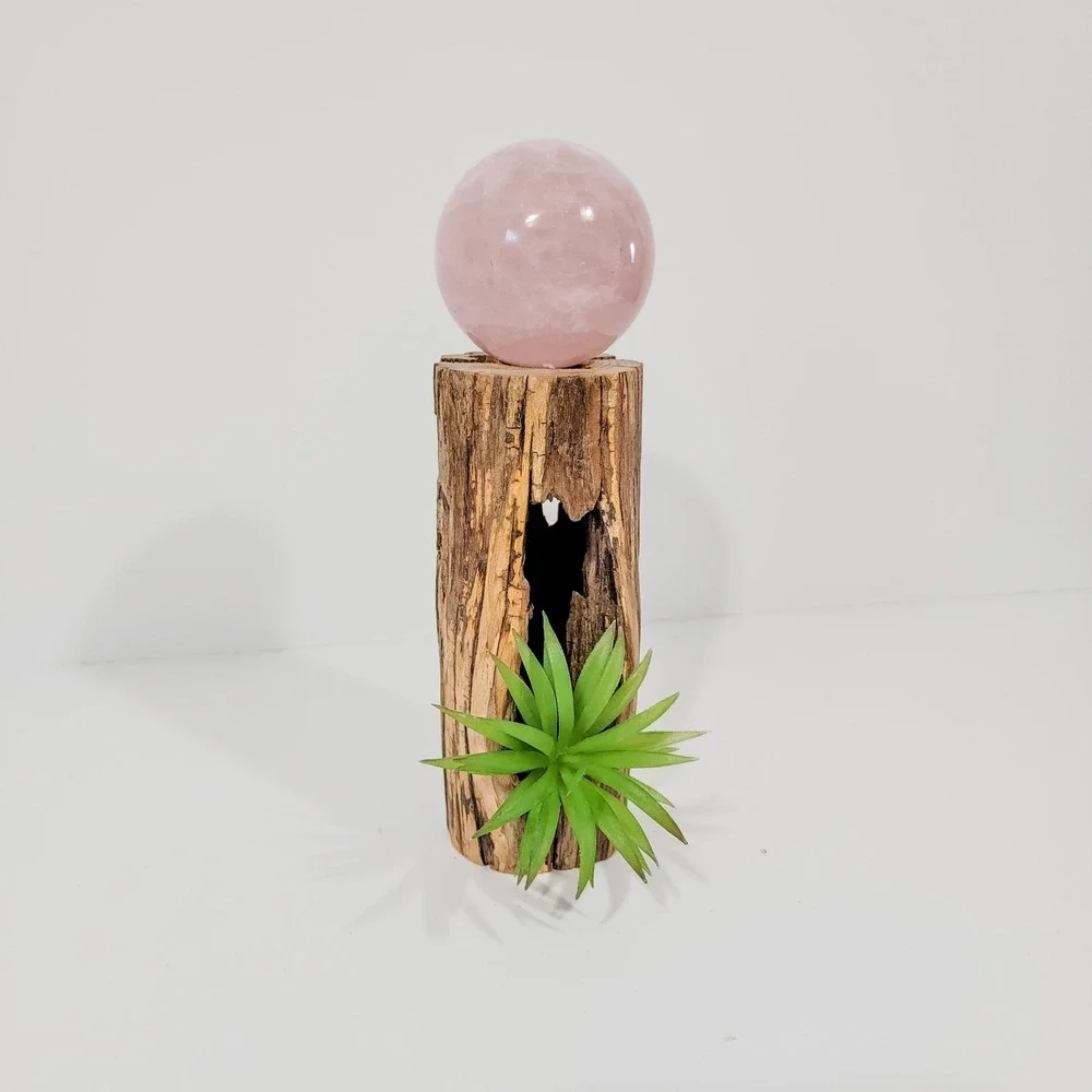 Natural Hollow Log Wood Display Stand for Air Plants Crystals Rustic Decor